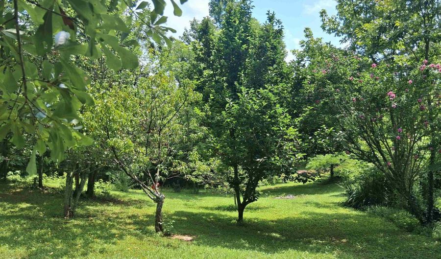 117 TABLEE Ln, Ashland, AL 36251 - 3 Beds, 2 Bath