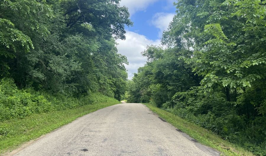 61 42 Acres Zwettler Rd, Arena, WI 53517 - 0 Beds, 0 Bath
