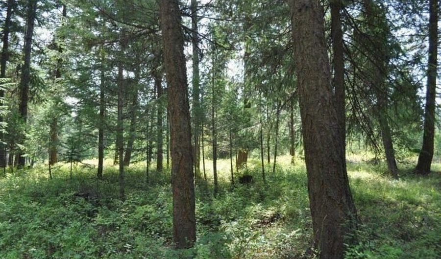 39 Forest Ridge Rd, Blanchard, ID 83804 - 0 Beds, 0 Bath