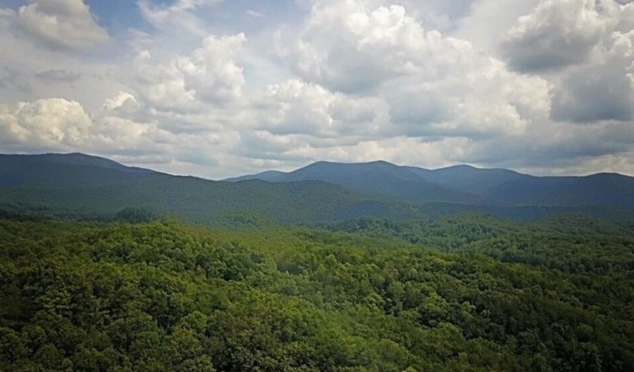 LOT 7 LEATHERWOOD MOUNTAIN Lot 7, Cherry Log, GA 30522 - 0 Beds, 0 Bath