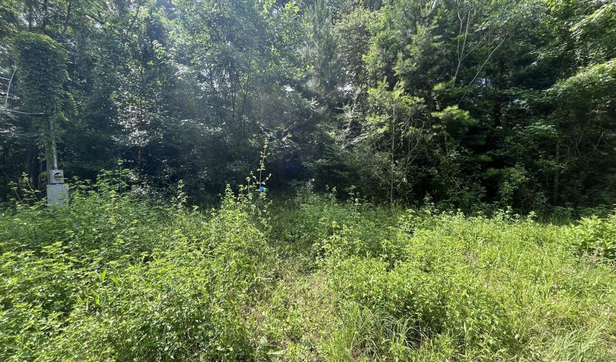 000 Ann Hinton Rd, Beaumont, MS 39462 - 0 Beds, 0 Bath