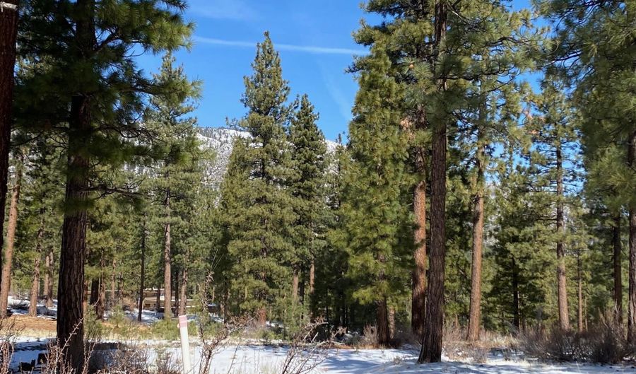 238 Redding Way Lot 238, Carson City, NV 89705 - 0 Beds, 0 Bath