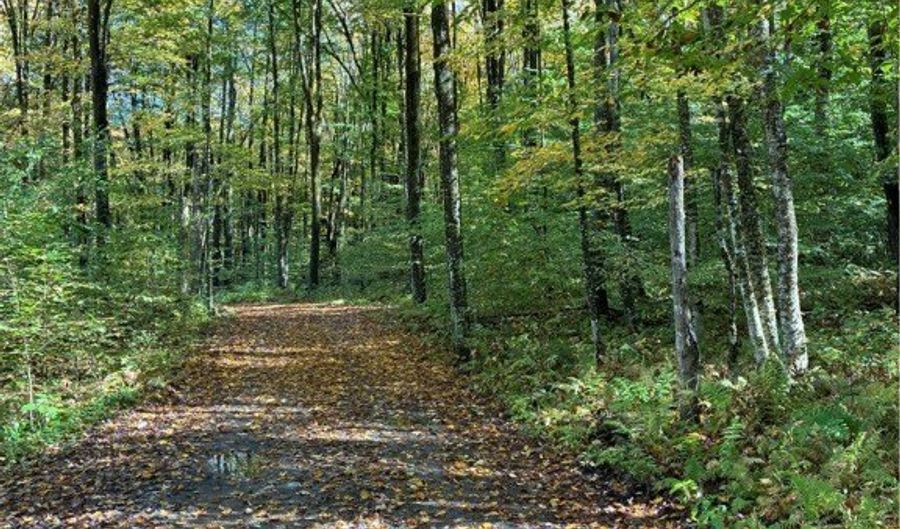 9822 Culver Brook Rd, Alder Creek, NY 13309 - 0 Beds, 0 Bath