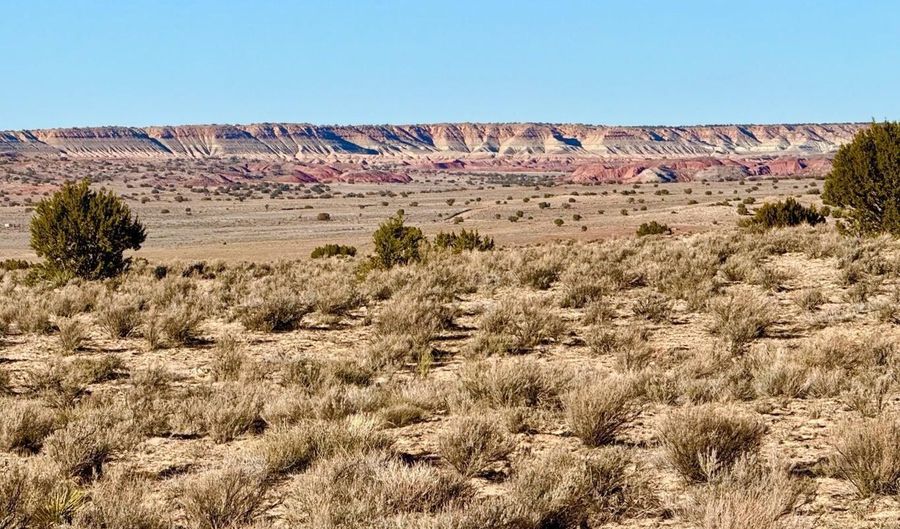 N7009 40 Acres, Chambers, AZ 86502 - 0 Beds, 0 Bath