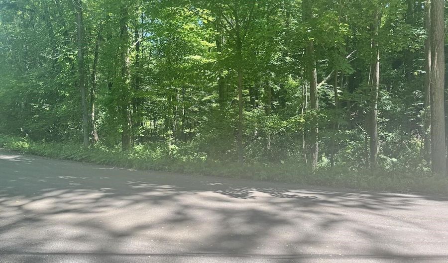 Mountain Road lot Map 25 Block A Lot 2.43 Lot Size 2.11, Chesterfield, NH 03466 - 0 Beds, 0 Bath