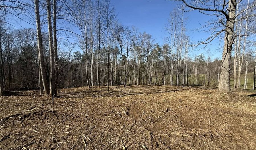 S Taxiway Dr lot # 16 & # 22, Albany, KY 42602 - 0 Beds, 0 Bath