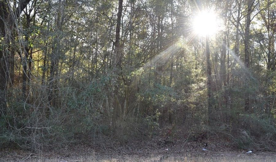 Lot 7 County Road 156, Enterprise, AL 36330 - 0 Beds, 0 Bath