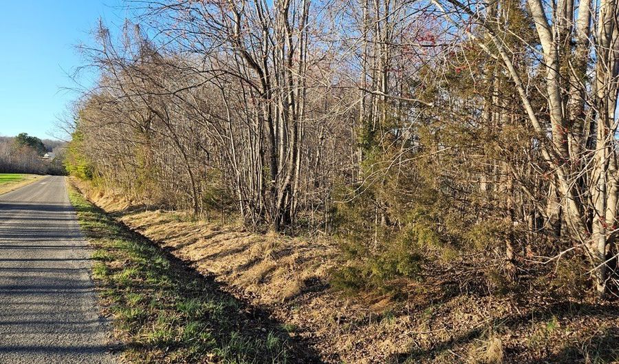 RICHARDSON ROAD, Amelia Court House, VA 23002 - 0 Beds, 0 Bath