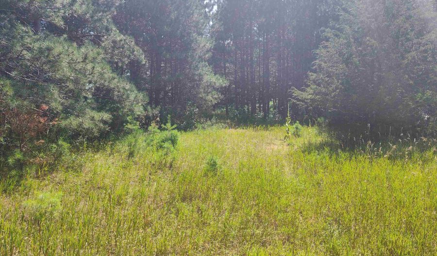 Lot 114 County Road Z, Arkdale, WI 54613 - 0 Beds, 0 Bath