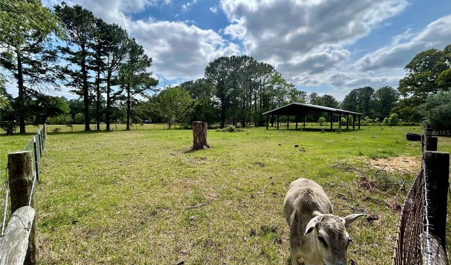7196 NW 205TH St, Alachua, FL 32615 - 3 Beds, 2 Bath
