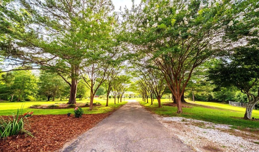 5141 COUNTY ROAD 5, Ashland, AL 36251 - 5 Beds, 3 Bath
