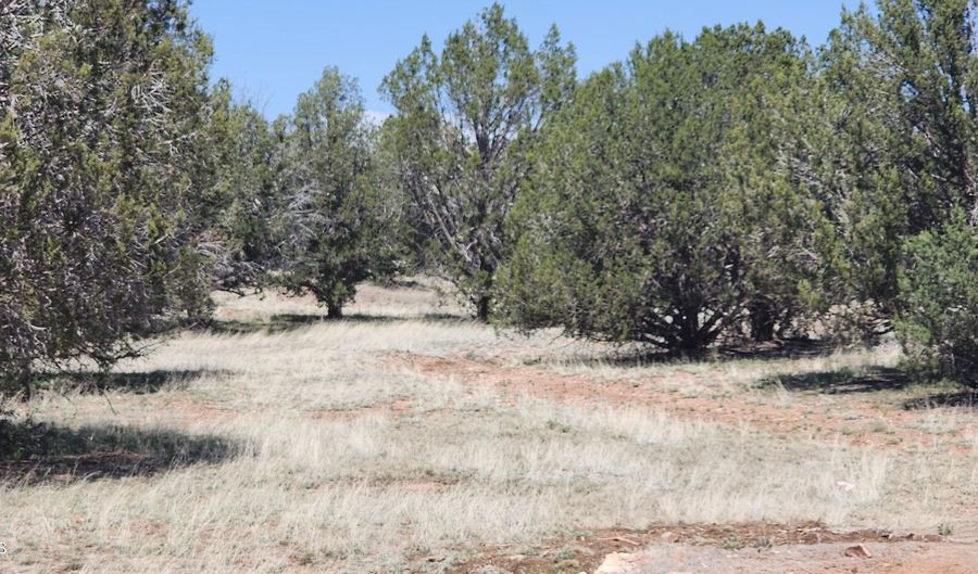 Ranch And Cattle lot 13, Ash Fork, AZ 86320 - 0 Beds, 0 Bath