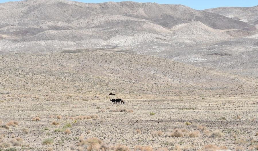 06 Hwy 95A, Fernley, NV 89408 - 0 Beds, 0 Bath