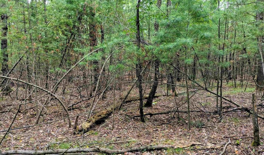 Buffalo Trail, Alger, MI 48610 - 0 Beds, 0 Bath