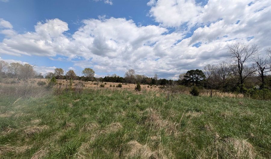 56 Highway, Ash Flat, AR 72513 - 0 Beds, 0 Bath