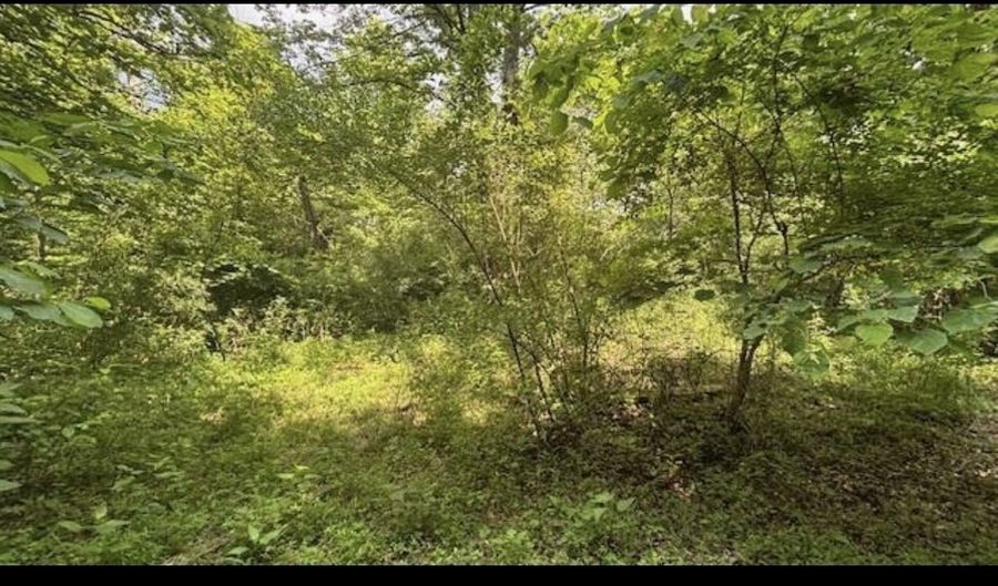 14500 Wolfe Rd, Amesville, OH 45711 - 0 Beds, 0 Bath
