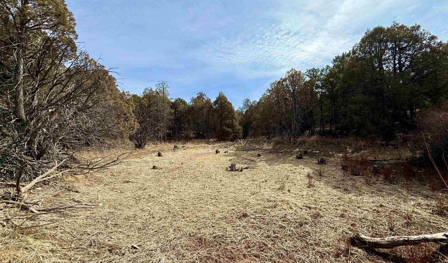 11 B Camino De Adelaida, Arroyo Seco, NM 87514 - 0 Beds, 0 Bath