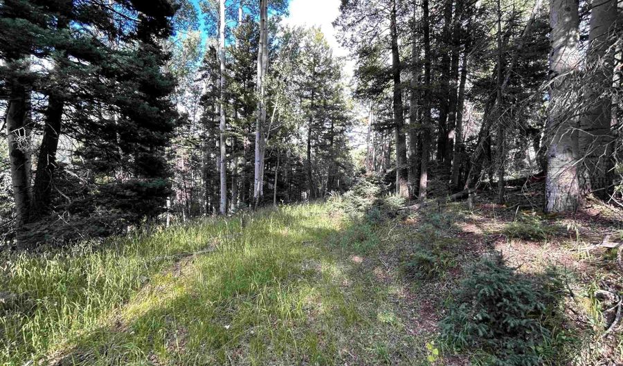 2 Back Basin Rd, Angel Fire, NM 87710 - 0 Beds, 0 Bath