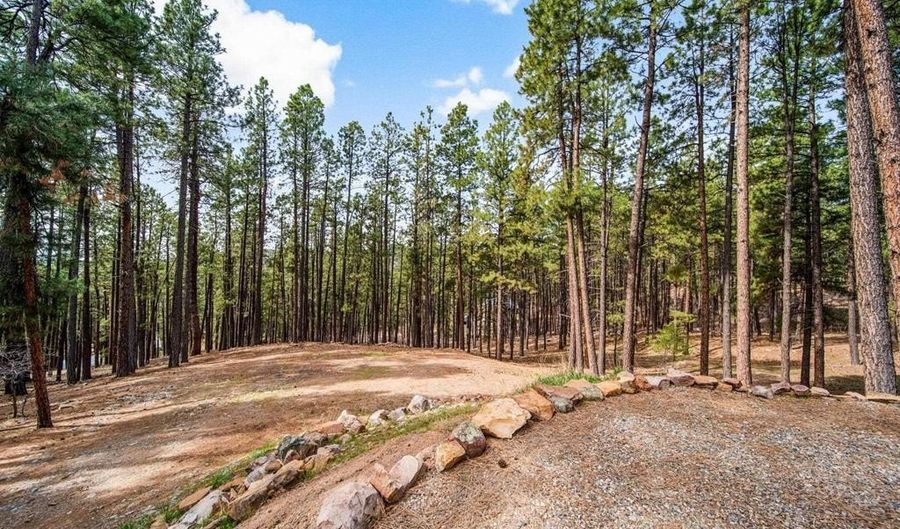 272 Timber Dr, Bayfield, CO 81122 - 0 Beds, 0 Bath