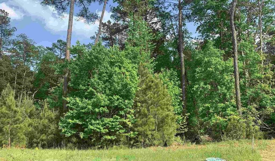 542 Golden Rod Ct, Columbia, SC 29016 - 0 Beds, 0 Bath