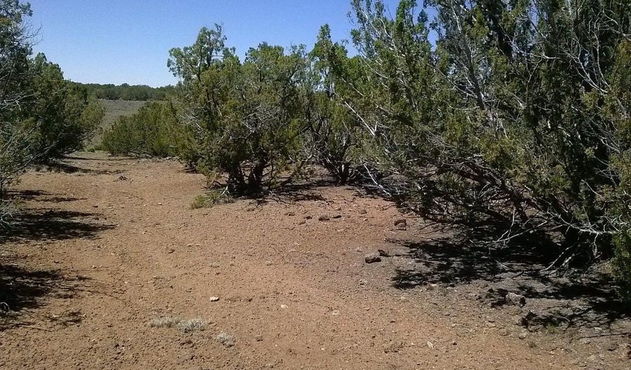 Tbd CR 8026, Concho, AZ 85924 - 0 Beds, 0 Bath