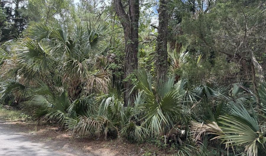 8 Dowitcher Trl Lot 754, Bald Head Island, NC 28461 - 0 Beds, 0 Bath