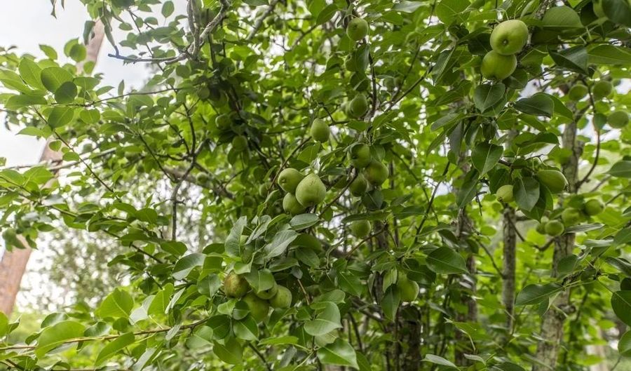 913 7th Ave, Albany, GA 31701 - 4 Beds, 2 Bath