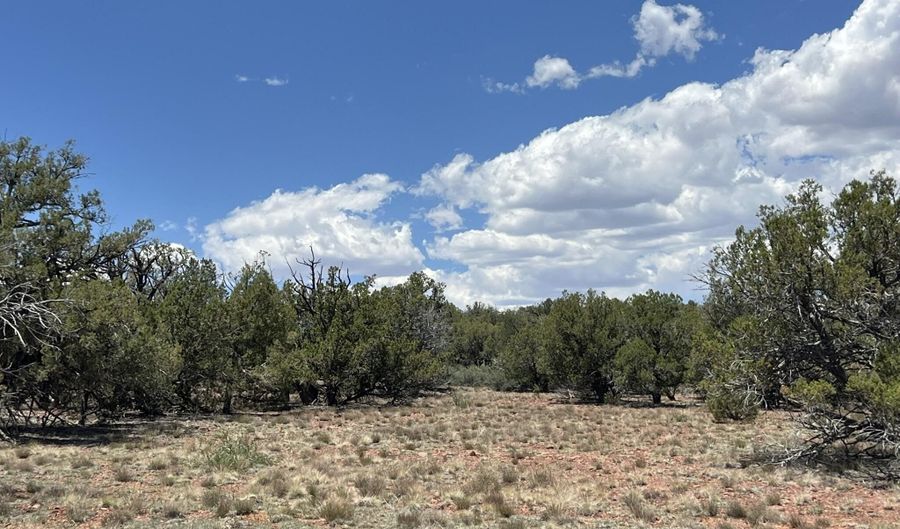 61 Colt Ct Se4 Rd, Ash Fork, AZ 86320 - 0 Beds, 0 Bath