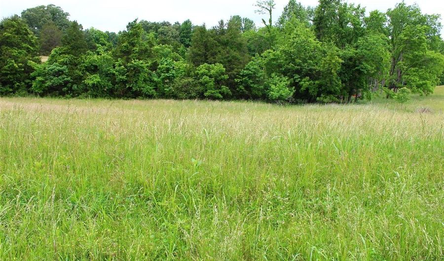 695 Calvert Rd, Adolphus, KY 42120 - 0 Beds, 0 Bath