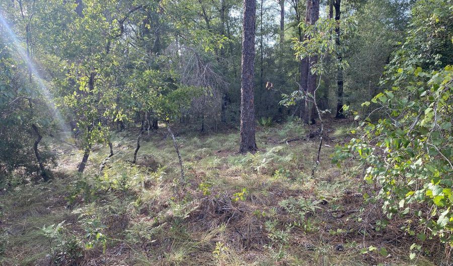 Putnam Avenue lot 31, Alford, FL 32420 - 0 Beds, 0 Bath
