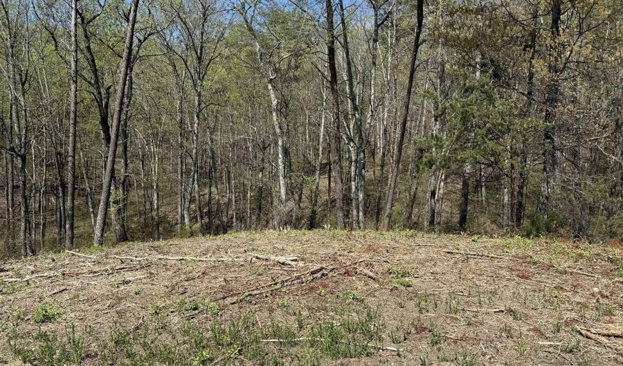 475 Bayside Blvd, Bean Station, TN 37708 - 0 Beds, 0 Bath