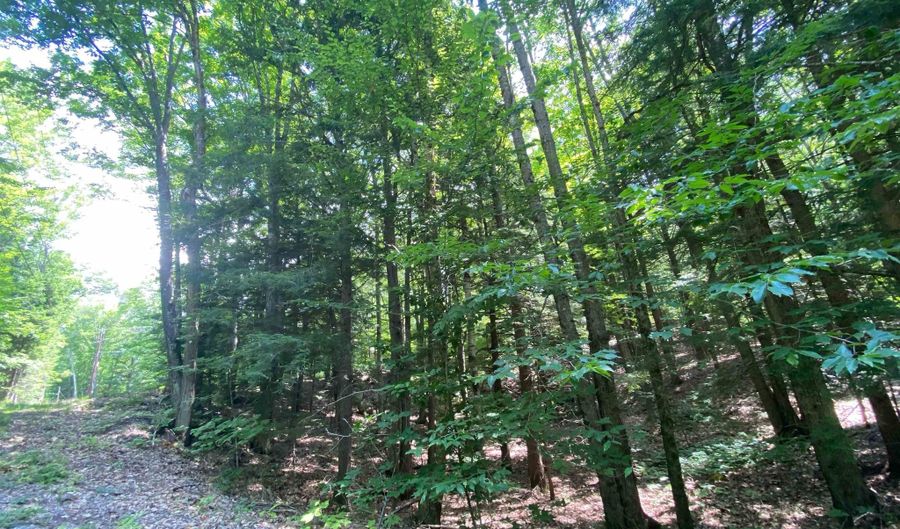Tyler Way 34, Bath, NH 03740 - 0 Beds, 0 Bath