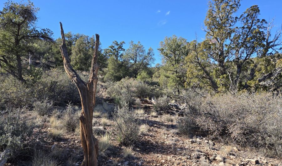 133 Arizona Rd, Ash Fork, AZ 86320 - 0 Beds, 0 Bath