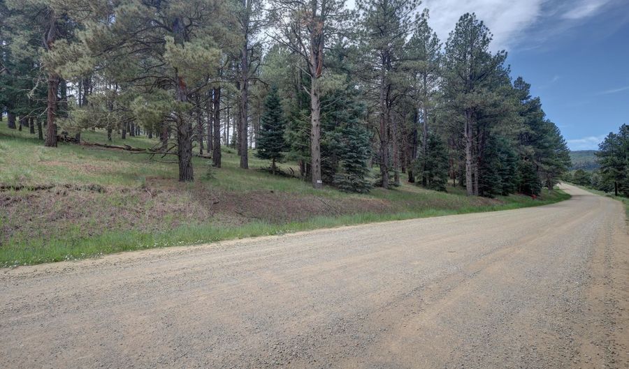 Lot 1311 San Pedro Dr, Angel Fire, NM 87710 - 0 Beds, 0 Bath