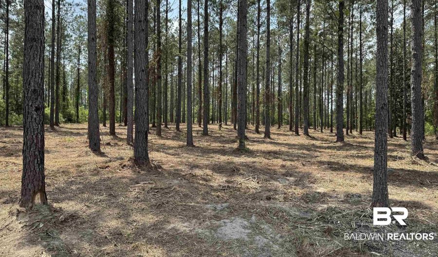 Ronald Sanks Road, Bay Minette, AL 36507 - 0 Beds, 0 Bath