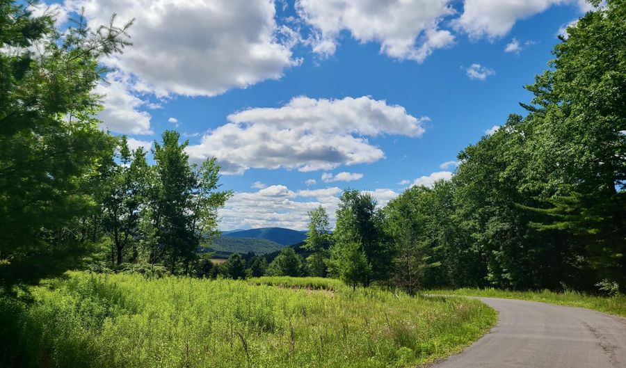 Crescent Hill Lane, Andes, NY 13731 - 0 Beds, 0 Bath