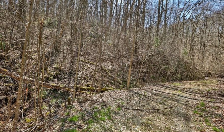 Tbd Bearwood Dr, Cullowhee, NC 28723 - 0 Beds, 0 Bath