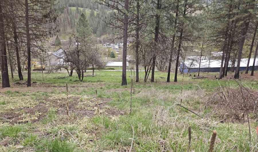 Tbd May St Blk 56 Lot 9, Peck, ID 83545 - 0 Beds, 0 Bath