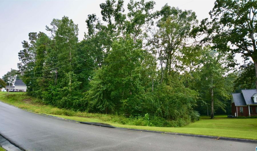 6101 FAWNHURST Dr 1, Anniston, AL 36206 - 0 Beds, 0 Bath