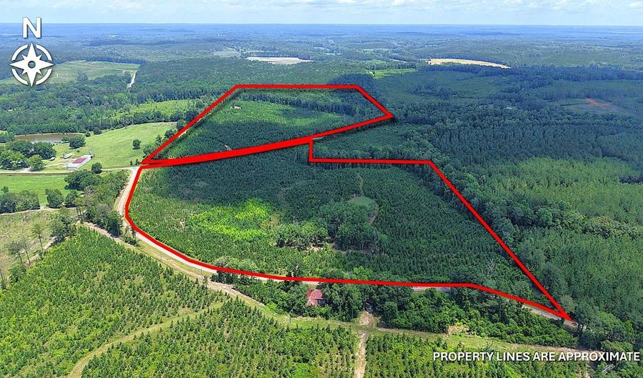 County Road 53, Banks, AL 36005 - 0 Beds, 0 Bath