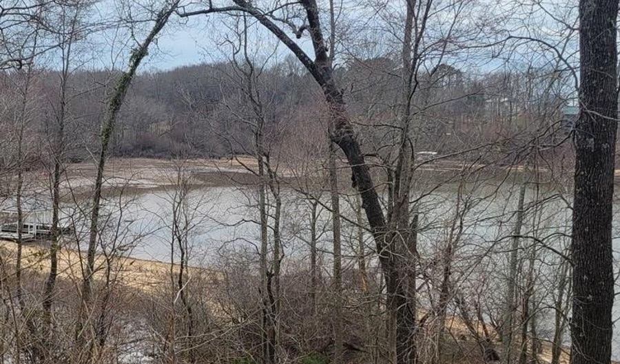 Branch Rd, Big Sandy, TN 38221 - 0 Beds, 0 Bath