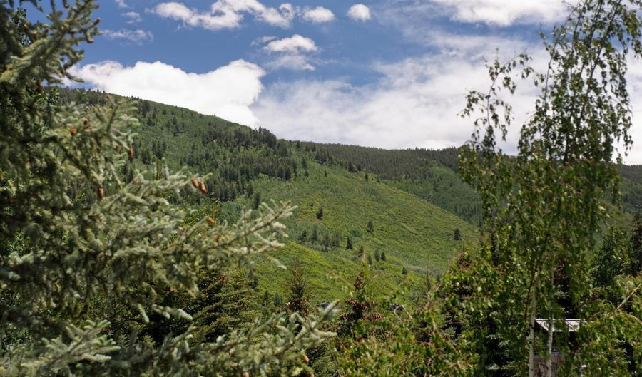 1280 Ute Ave Unit 13 & 14, Aspen, CO 81611 - 0 Beds, 0 Bath
