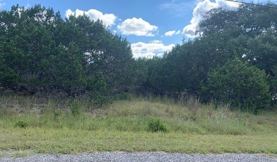 205 Breeze Pt, Fischer, TX 78623 - 0 Beds, 0 Bath