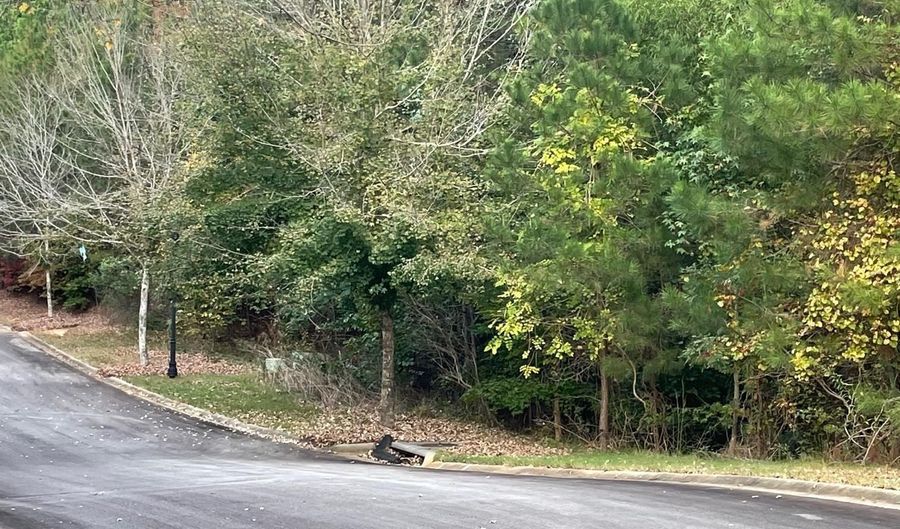 518 Doko Ct, Blythewood, SC 29016 - 0 Beds, 0 Bath