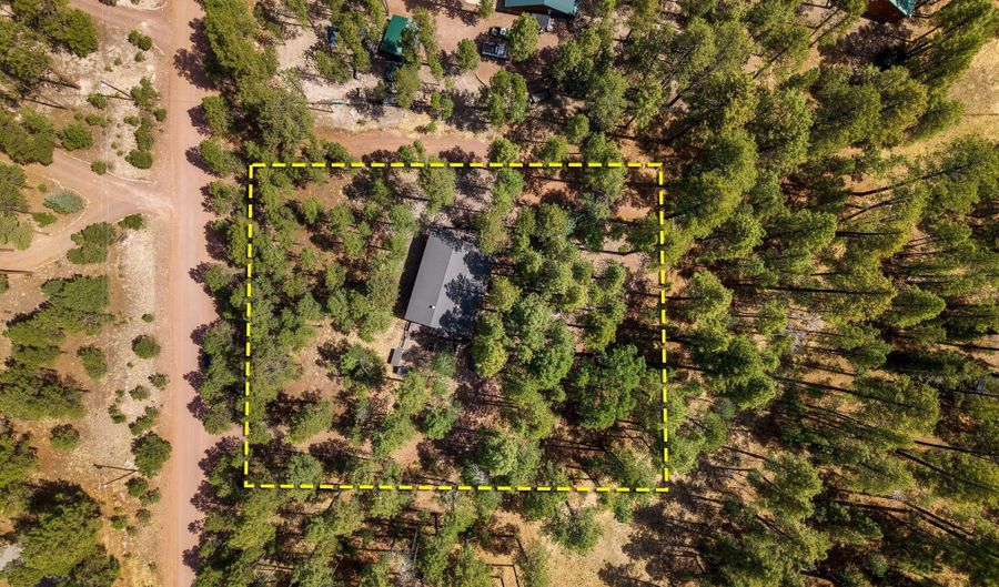 8 County Road 2083, Alpine, AZ 85920 - 3 Beds, 3 Bath