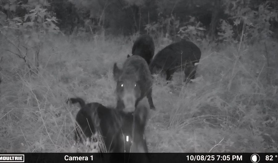 S80 Helt Rd, Antlers, OK 74525 - 0 Beds, 0 Bath