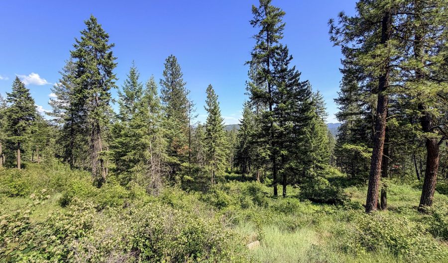 2008- TBD LOT K SUMMIT VALLEY Rd, Addy, WA 99101 - 0 Beds, 0 Bath