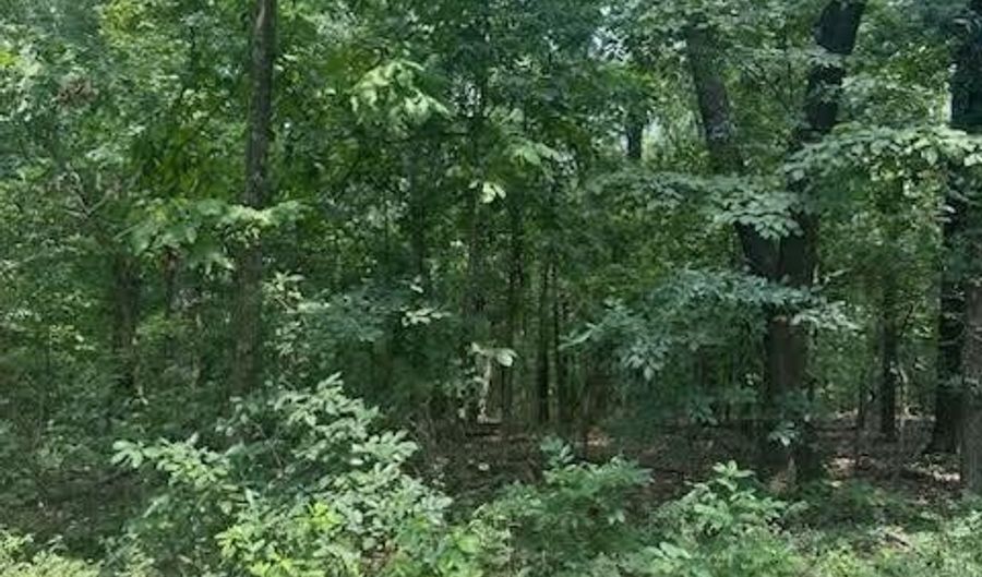 Private Road Cc-200, Alton, MO 65606 - 0 Beds, 0 Bath