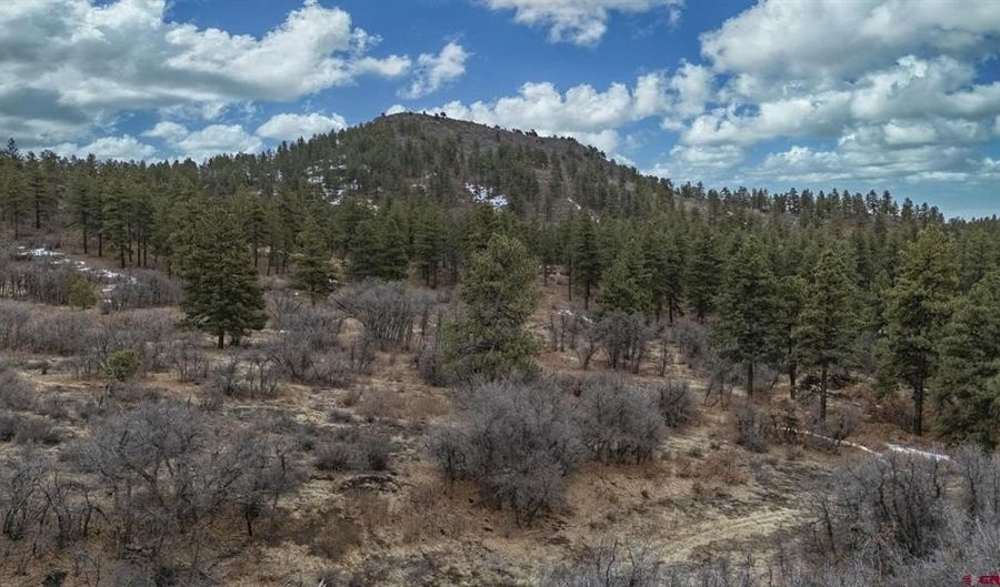 TBD Lot 8 Beaver Creek Ranch Drive, Bayfield, CO 81122 - 0 Beds, 0 Bath