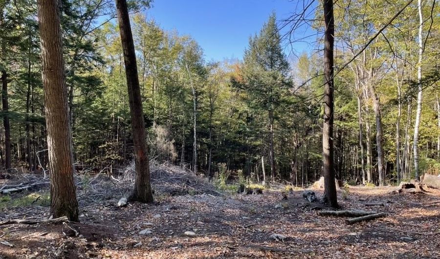 341 Perkins Hill Rd Lot 7, Alexandria, NH 03222 - 0 Beds, 0 Bath